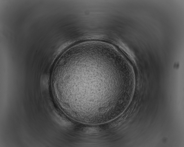 X0000095680107200801151134