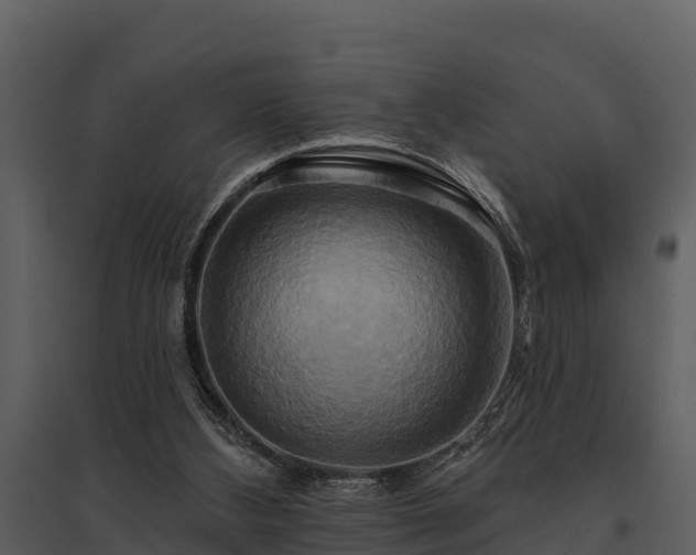X0000095680108200801151134