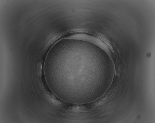 X0000095680109200801151134