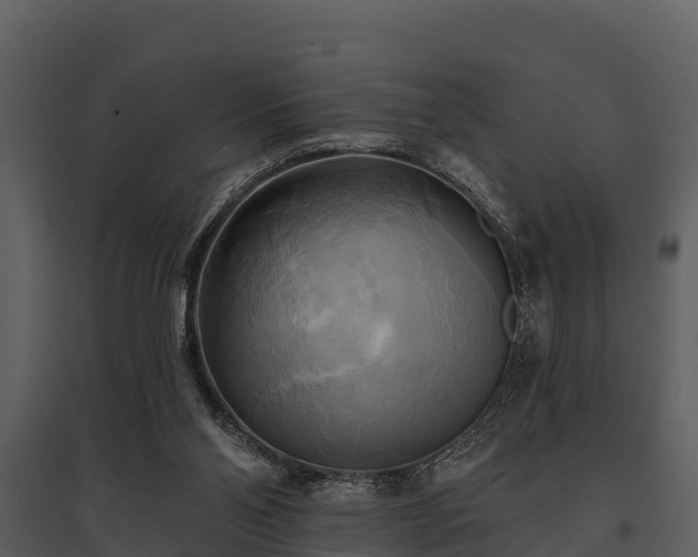 X0000095680110200801151134