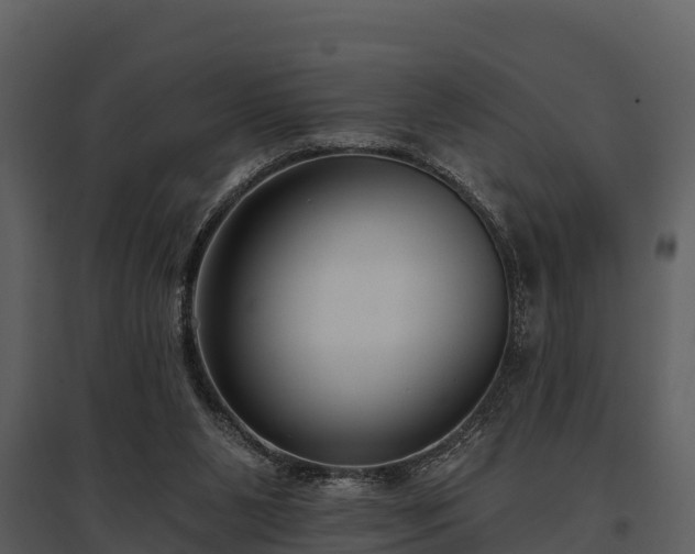 X0000095680111200801151134
