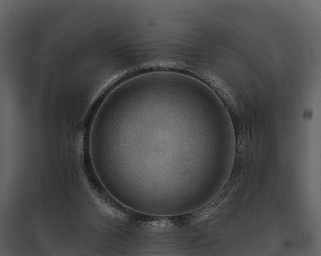 X0000095680112200801151134