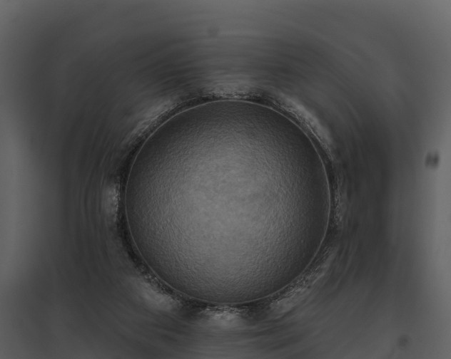 X0000095680113200801151134