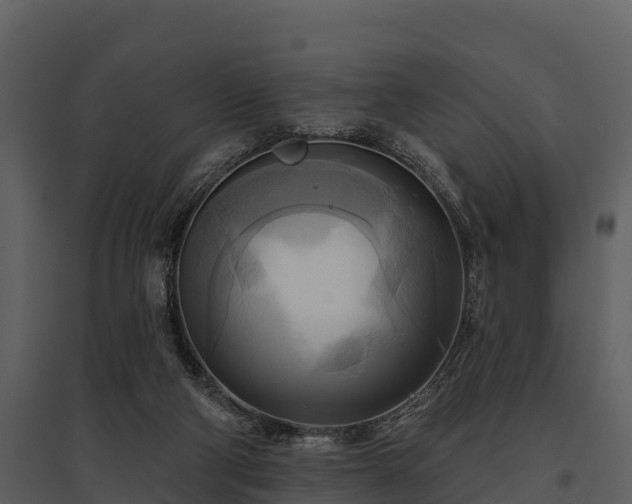 X0000095680114200801151134