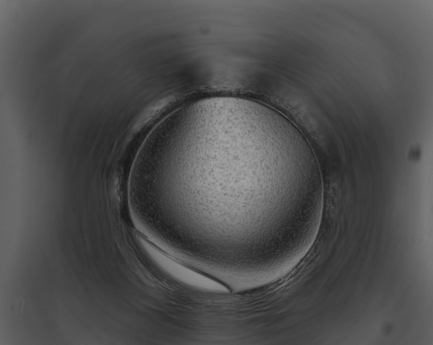 X0000095680116200801151134