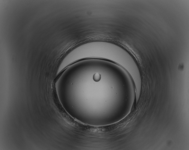 X0000095680117200801151134