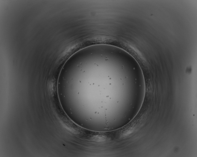 X0000095680119200801151134