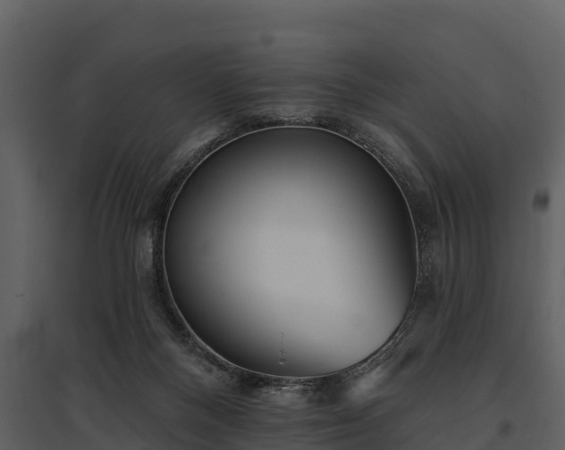X0000095680120200801151134