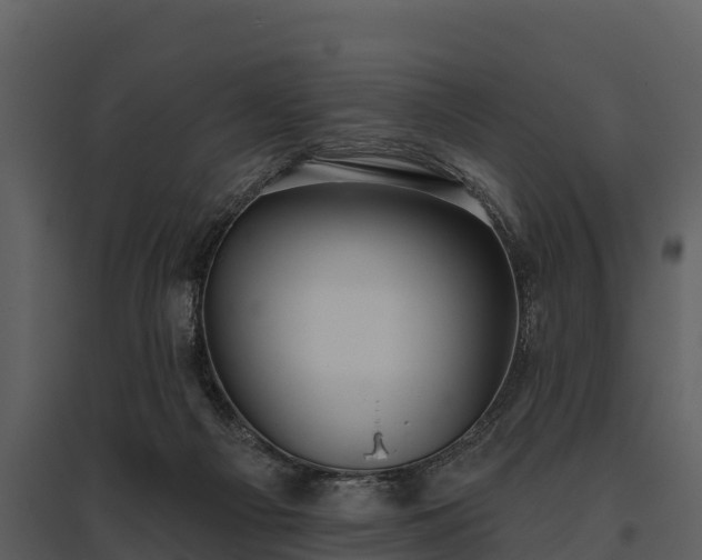 X0000095680121200801151134