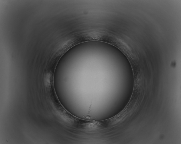 X0000095680122200801151134