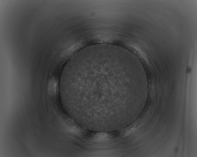 X0000095680123200801151134