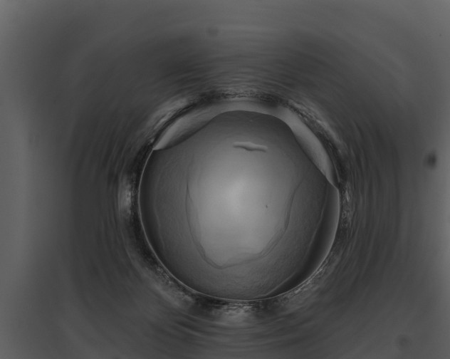 X0000095680124200801151134