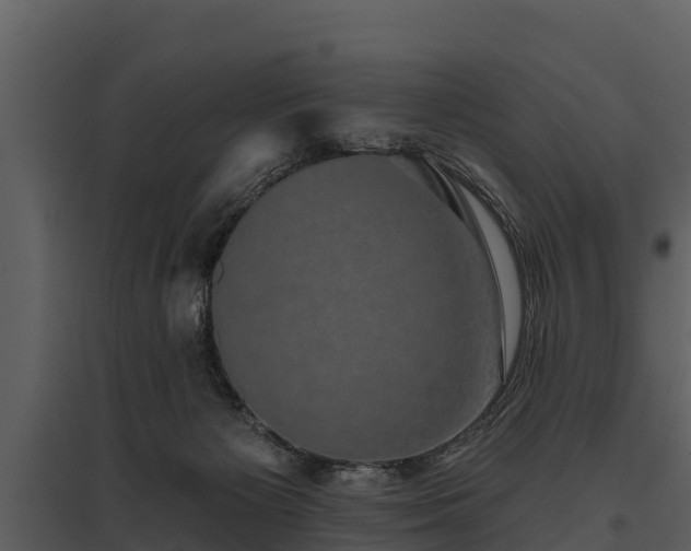 X0000095680125200801151134