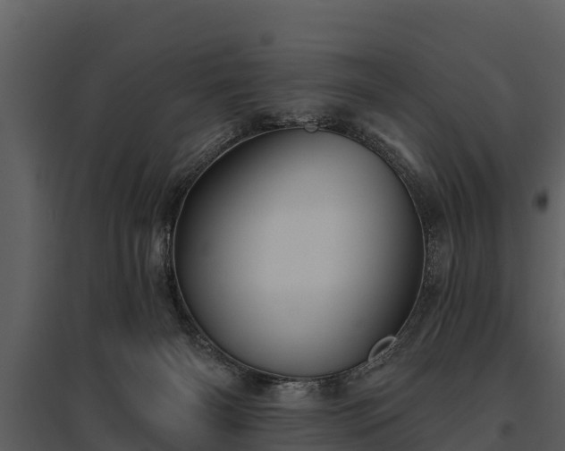 X0000095680126200801151134