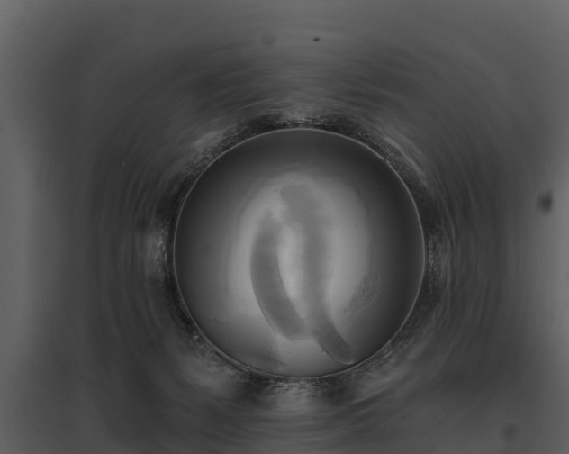X0000095680127200801151134