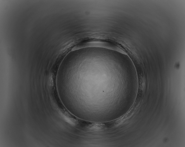 X0000095680128200801151134