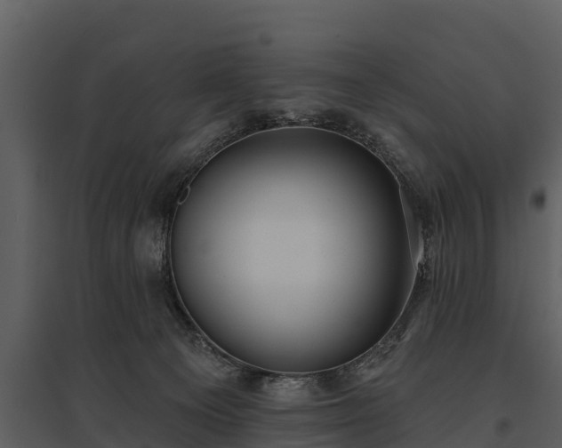 X0000095680129200801151134