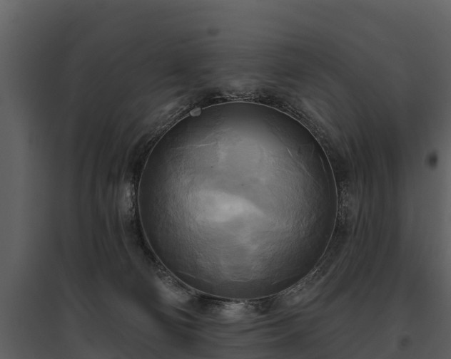 X0000095680130200801151134