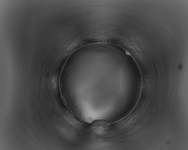 X0000095680131200801151134