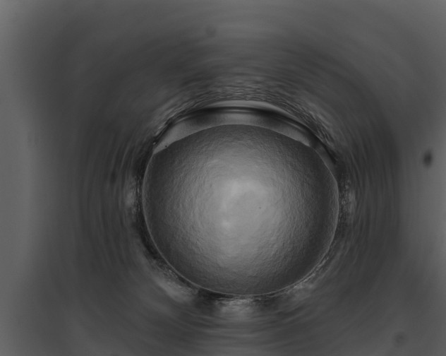 X0000095680132200801151134