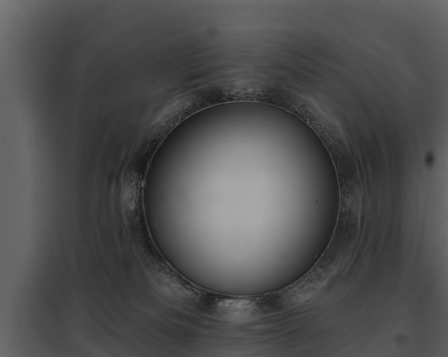 X0000095680133200801151134