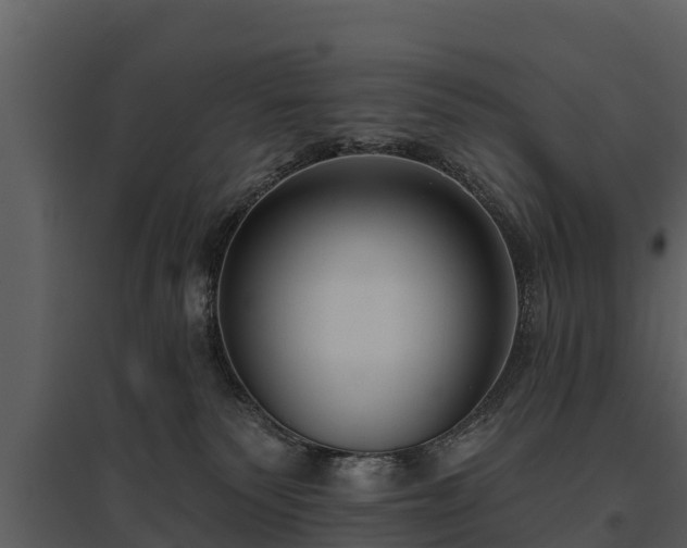 X0000095680135200801151134