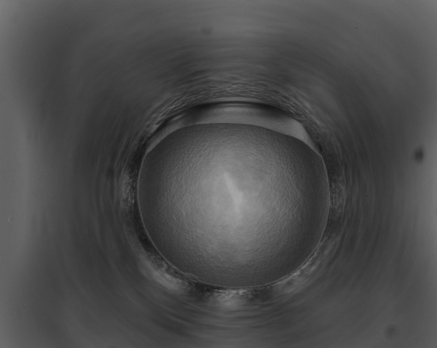 X0000095680136200801151134
