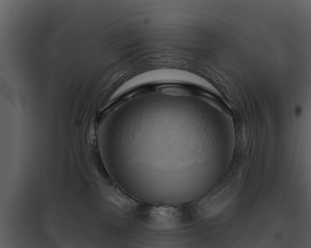 X0000095680137200801151134