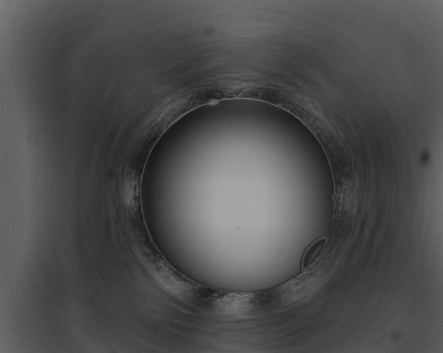 X0000095680138200801151134