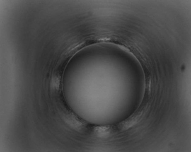 X0000095680139200801151134