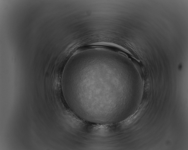 X0000095680140200801151134