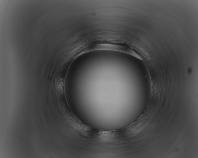 X0000095680141200801151134