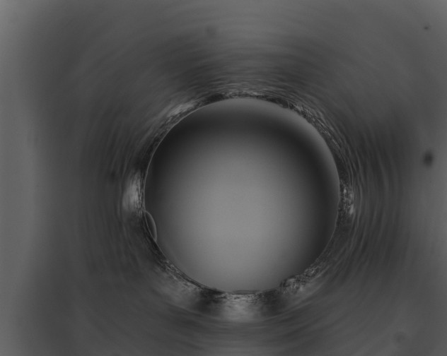 X0000095680143200801151134