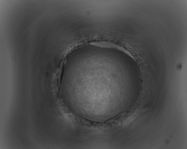 X0000095680144200801151134
