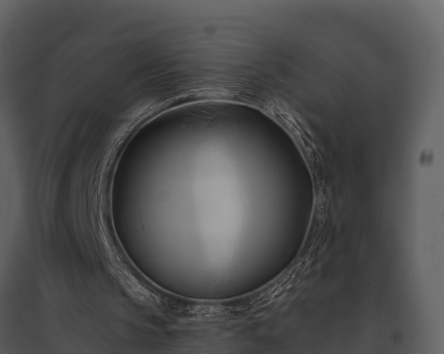 X0000095680145200801151133