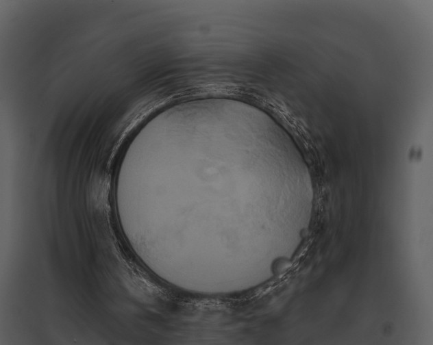 X0000095680146200801151133