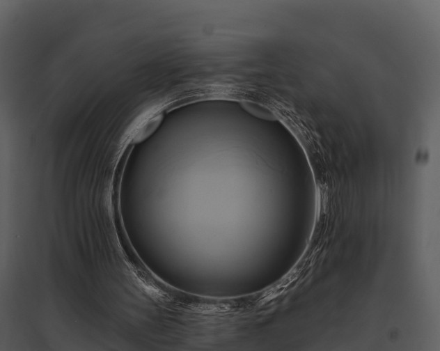 X0000095680147200801151133