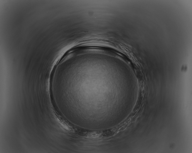 X0000095680148200801151133