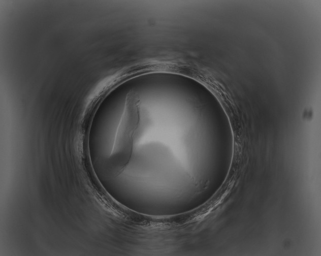 X0000095680149200801151133