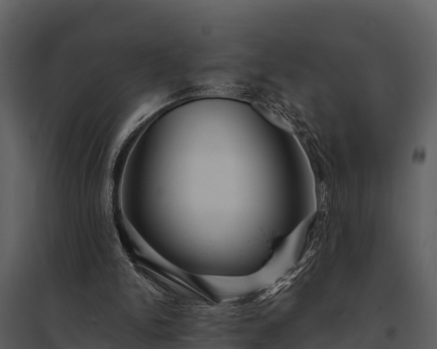 X0000095680150200801151133