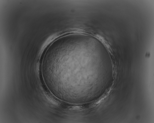 X0000095680151200801151133