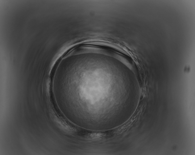 X0000095680152200801151133