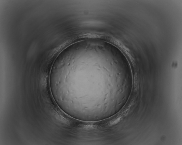 X0000095680153200801151133