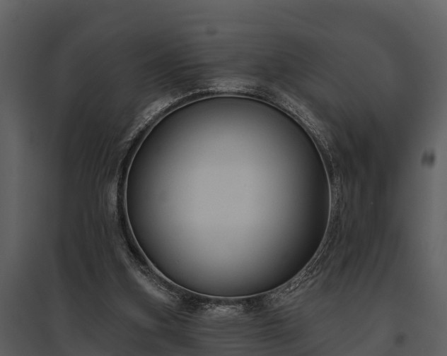 X0000095680155200801151133