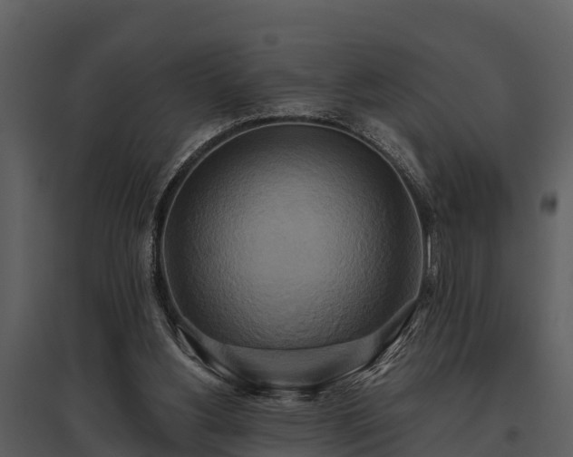 X0000095680156200801151133
