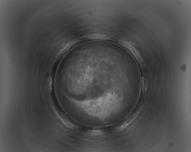 X0000095680157200801151133