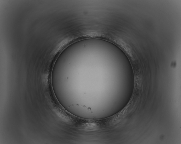 X0000095680159200801151133