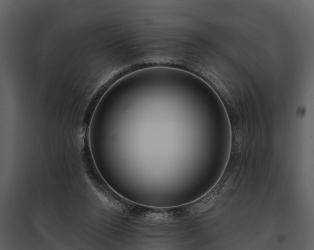 X0000095680160200801151133
