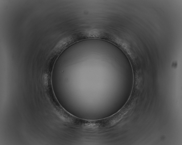 X0000095680161200801151133