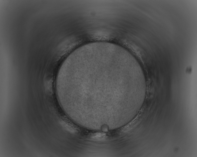 X0000095680162200801151133